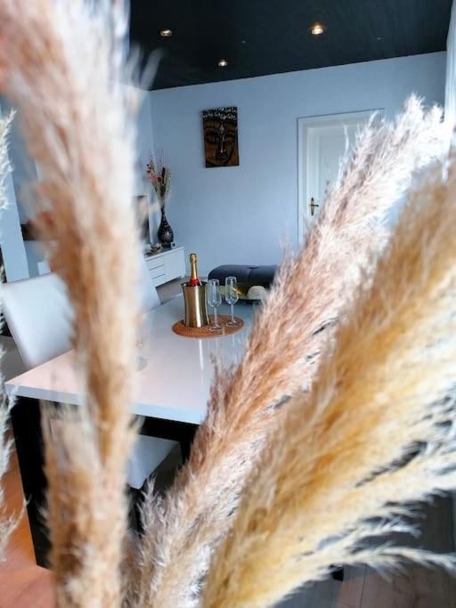Suite Island Colmar Zewnętrze zdjęcie